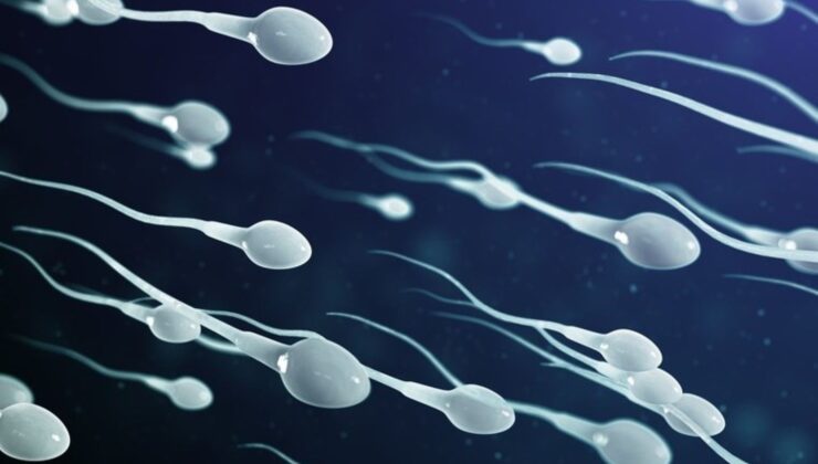 Dünyanın en büyük sperm bankası, bir ülkede daha şube açtı