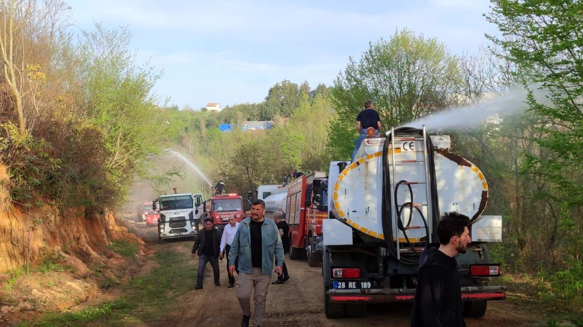 Giresun ve Trabzon Sınırında Çıkan Yangında 80 Dönümlük Mera Zarar Gördü