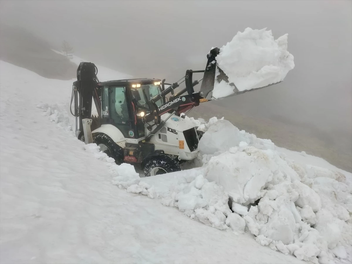 Giresun’da kar nedeniyle yayla yolları ulaşıma açılıyor