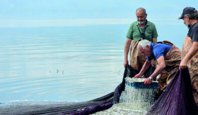 İznik Gölü’nün gümüş balıkları cips yapılarak ihraç ediliyor