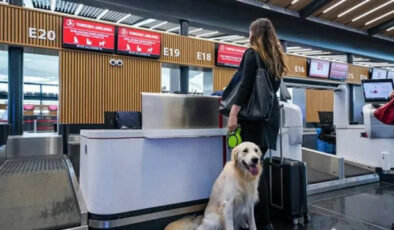 THY İstanbul Havalimanı’nda “Pet Lounge” kuracak